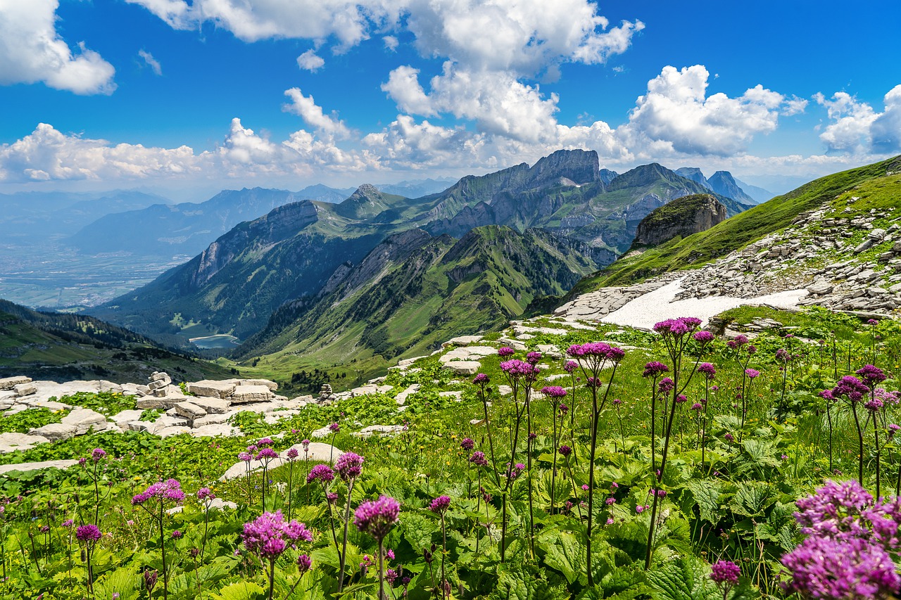 Sankt Gallen – wo sich Bodensee und Berge begegnen